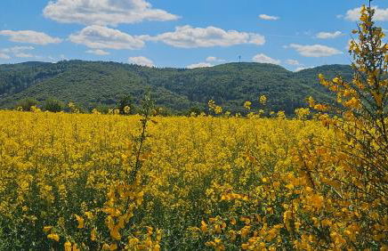 Ferienwohnung Beti - Foto 22