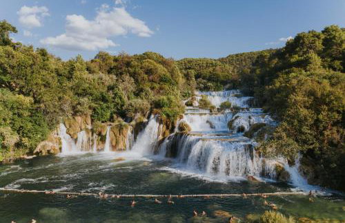 Villa Vuki - Photo 54