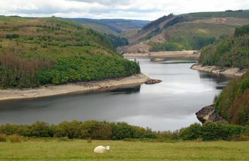 Pwllgwilym B & B - Foto 20