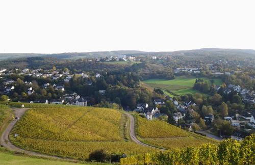 Saar-Mosel-Tal - Foto 19