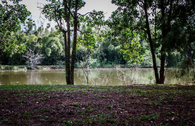 Chalet em Viamão - Foto 41