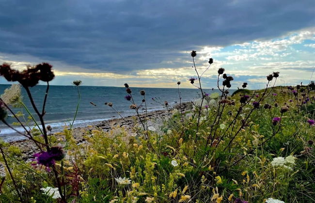 6 Person Holiday Home in Martofte - Foto 30