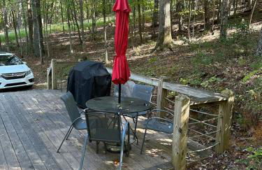 Bearly Behavin - Foto 49