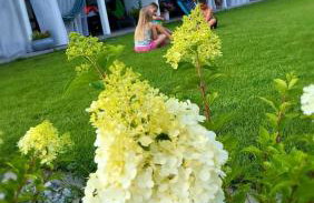 Apartamenty Carpe Diem - Foto 16