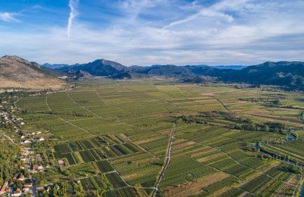 Villa Granny Nevenka near MAKARSKA - Foto 1