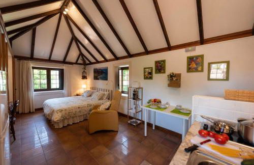 Rincón de los Abanes - Finca Casa Jardín-VV - Foto 21