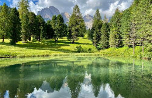Alpine Chalet CESA VEDLA -nature & silence - Foto 50