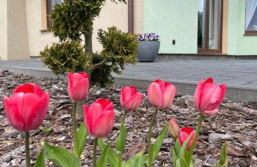 Pogodna Zagroda-Dom na Kaszubach & Strefa Spa - Foto 71