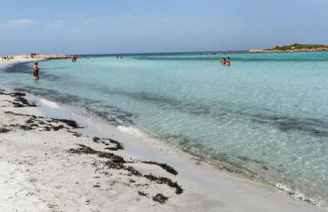 Patio House - Foto 65