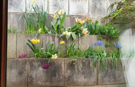 Feels like Home @ Eppinger - Foto 16