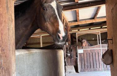 Gut Bennewohld - Photo 59