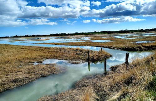 Beachside Terrace - Foto 23