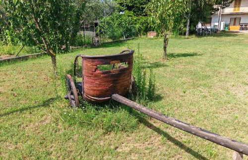 Umbria Tuoro - Foto 11