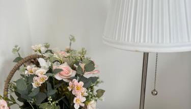 Maison des Larris - proche Aéroport - navette Gare - Foto 4