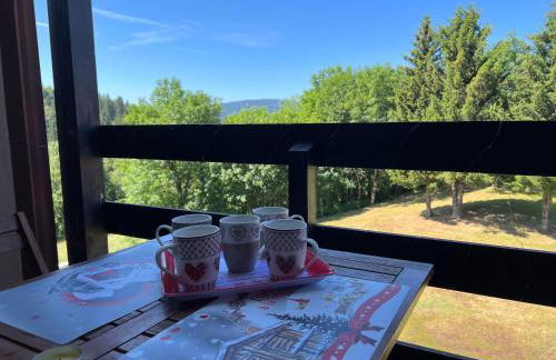 LE CHALET des 3 Sapins, Superbe Duplex Montagnard avec balcon, au calme - Les Rousses, Draps inclus & Parking gratuit - Foto 15