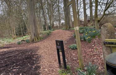 Max's Woodland Lodge - Foto 39