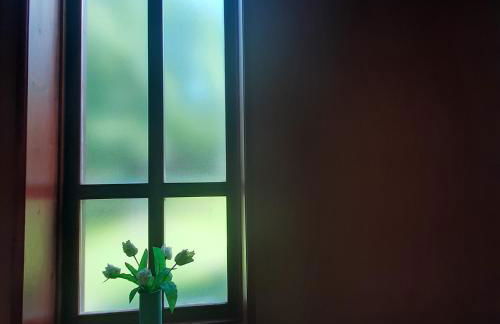 El Serrat Turisme Rural - Foto 16