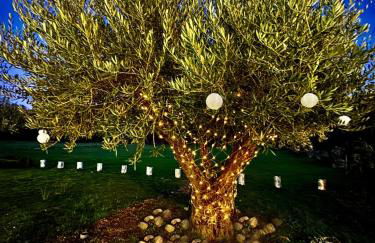 Quinta Vale da Prata - Foto 9