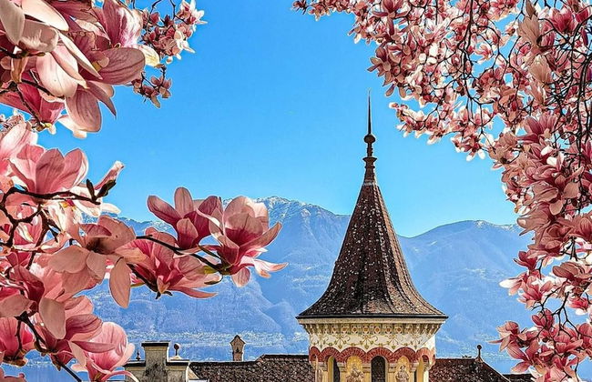 One & Only Losone Apartment - Foto 30