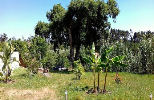 Casa Lantana - Foto 80