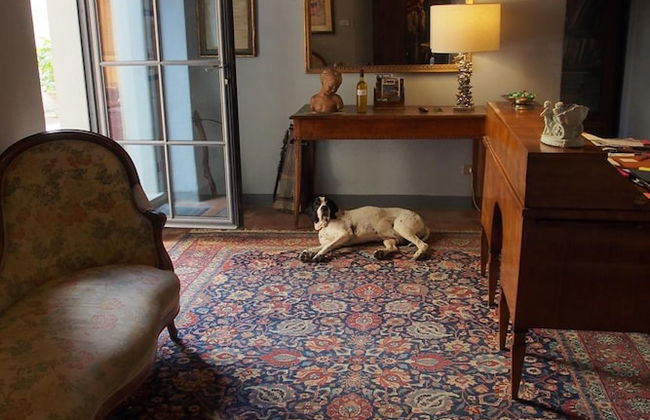 I Parigi Corbinelli - Foto 18