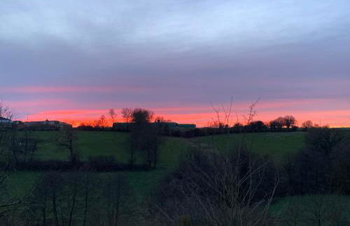 Gite Mimosa - Photo 17