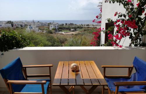 Dina's Diamond - Foto 31