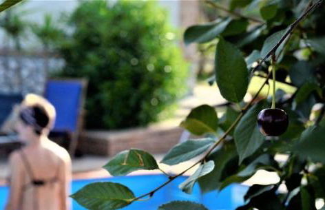 Residence Cassiodoro - Photo 36