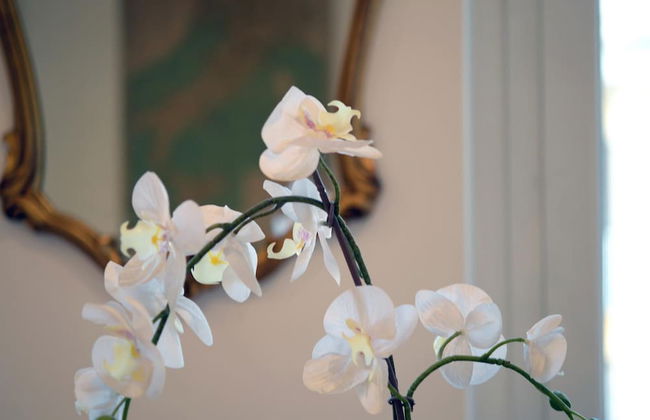 Homethic Piramide in Rome - Foto 33