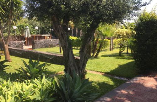 Borgo Barone - Foto 30