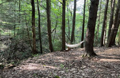 Amazing Equipped Bell Tent Nestled Among Nature in New York - Foto 10