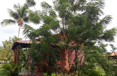 Chale da Lu - Photo 24