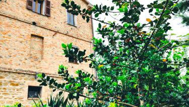 La Cascina di Muttley - Foto 2