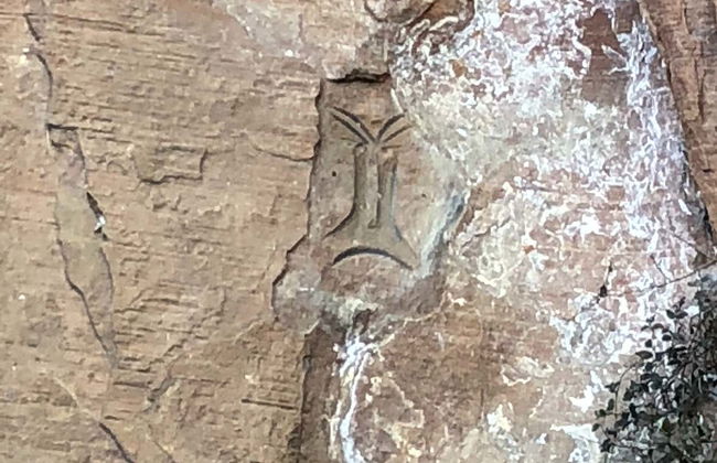 Tour por Urubici - Foto 6