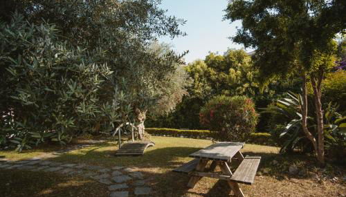 Palazzo Sebeto - Foto 5, Garden, Garden view