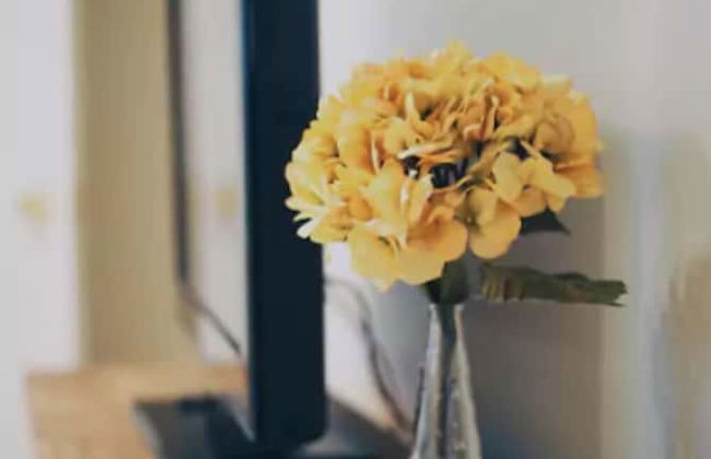 2 Bedroom Suite near Kensington Market - Unit 1 - Photo 7