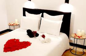 L'Orée des Champs - Photo 57