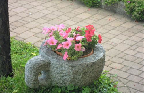 GIORNI FELICI tutto nuovo, giardino, park e bikepark - Foto 34