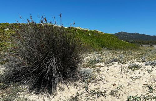 Villa Sole vista mare super panoramica - Foto 77