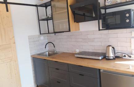 agroturystyka domek na trawie - Foto 51