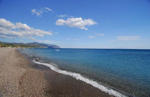 Mais Studios - Photo 28