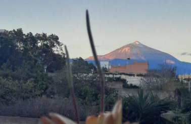 Duplex India - Photo 34