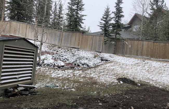 One Bedroom Suite with BBQ & huge Patio - Foto 24