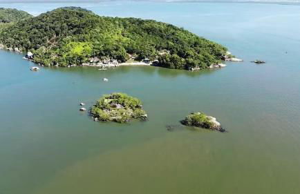 Curitibanos - Foto 18