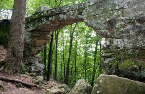 The Yellow Cottage By Tims Ford Lake - Foto 23