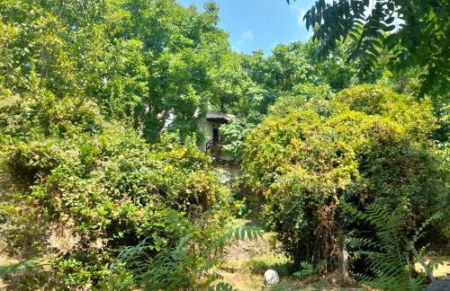 Mountain and Sea view - Foto 38