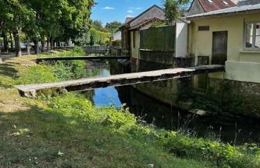 La Crécynade - near Disneyland and Parrot World - Foto 34