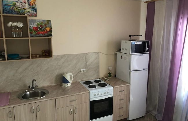 Comfort Apartments on Zapolnaya 60 apt 178 - Photo 9