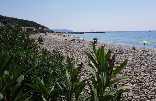 Petra Marina Home - Foto 40