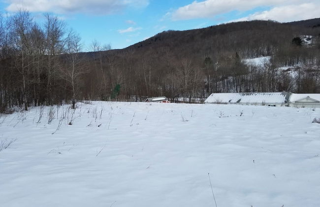 Catskill Retreat - Foto 48